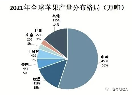 全国苹果产量达4960万吨，繁荣背后的产业洞察