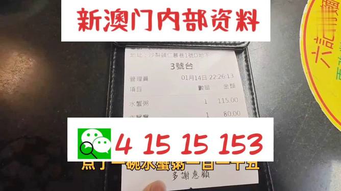 新澳门正版免费资料怎么查,效率资料解释落实_精英版9.299