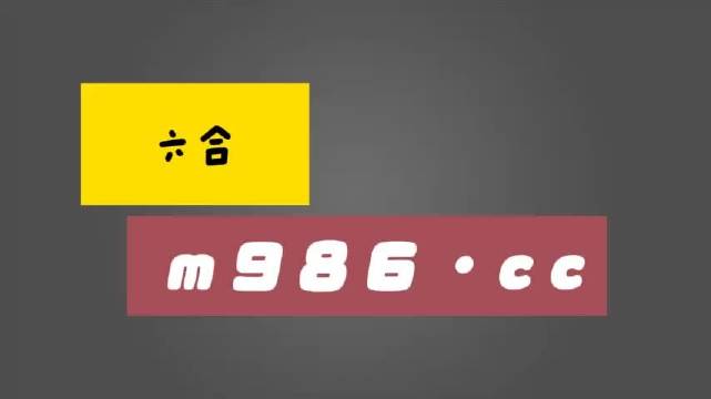 白小姐四肖四码100%准,效率资料解释落实_精英版9.295