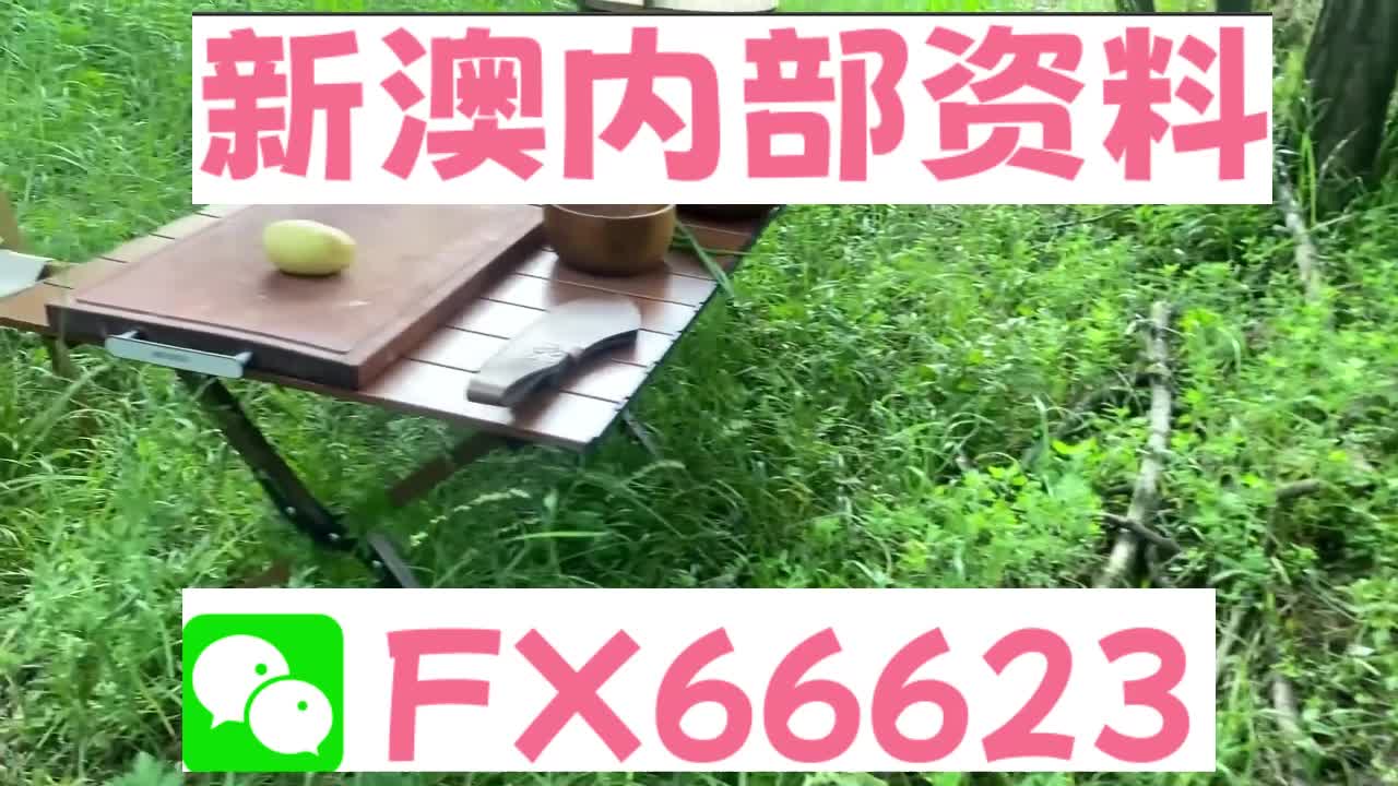 新澳资料免费精准期期准,决策资料解释落实_储蓄版5.968