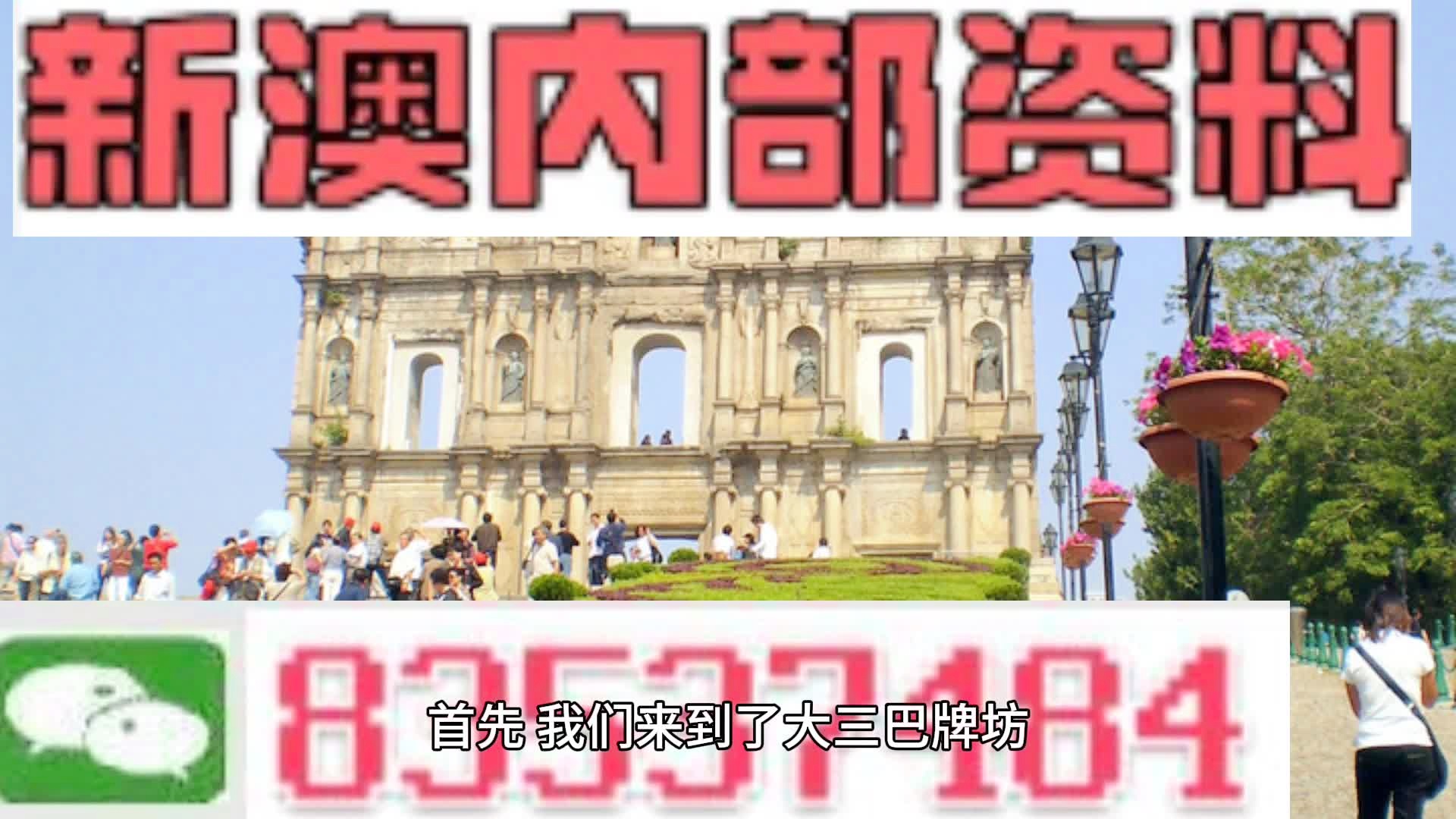 新澳2024正版资料免费公开,全面解析说明_BT16.131