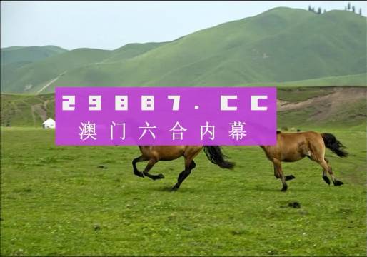 7777788888新版跑狗图,信息路径优化实践_探索版91.47.91