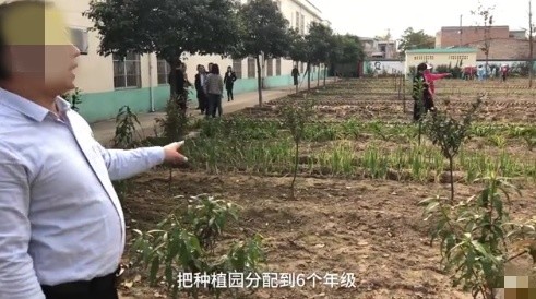 法国市长与中国大姐的荒地种菜绿色革命故事