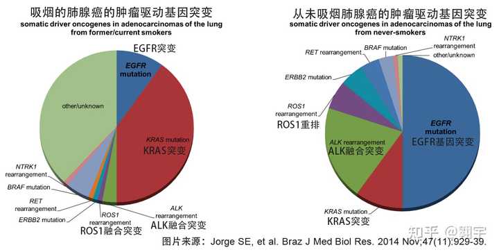 肺腺癌转移速度概览表