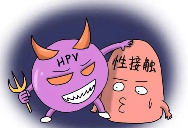 HPV病毒详解，治疗方法与应对策略