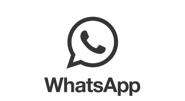 WhatsApp软件简介，中文命名与功能与影响力解析