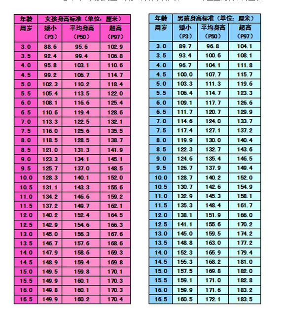 王宗源身高与体重揭秘，运动员体魄与成就探究