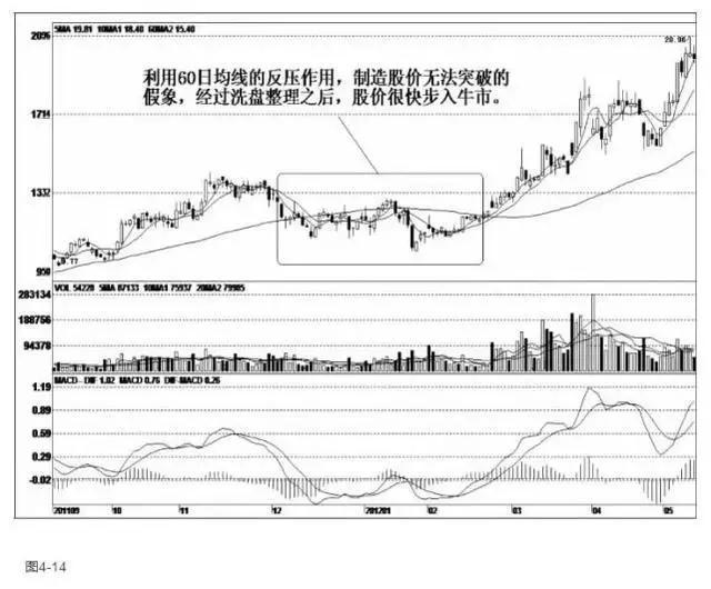 汤臣倍健股票投资深度解析