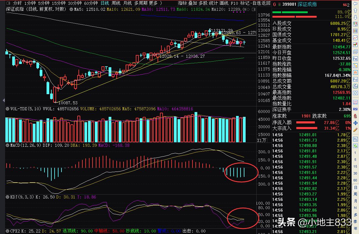 中国船舶股价跌势背后的深层原因探究，1.23%只是冰山一角