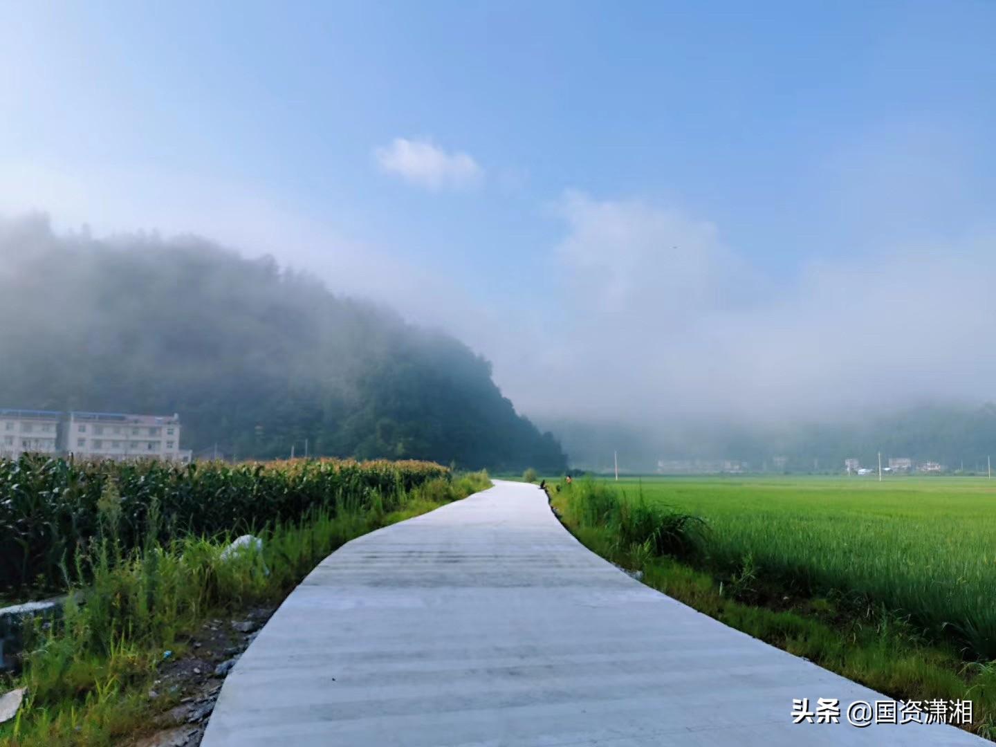 兴业银行，国资背景与发展轨迹