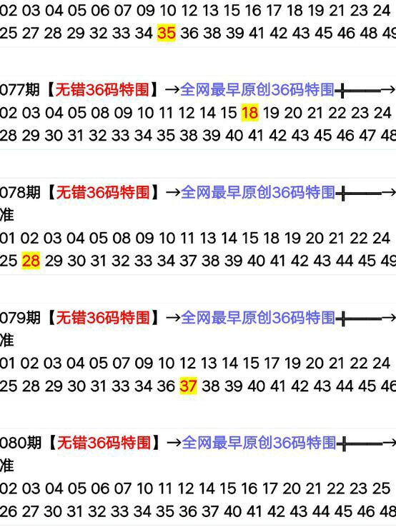 揭秘2024年新版49码表图，特点、应用及未来展望