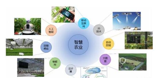 自动化与物联网如何革新现代农业生产模式