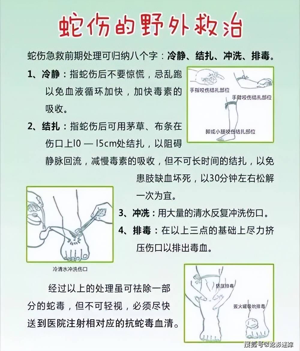 野外蛇咬伤急救处理指南，自救与应急措施