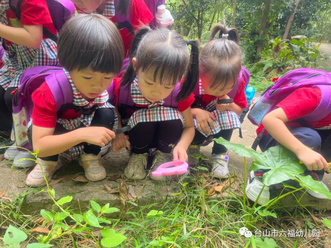 自然探索活动在早期教育中的价值与地位探索