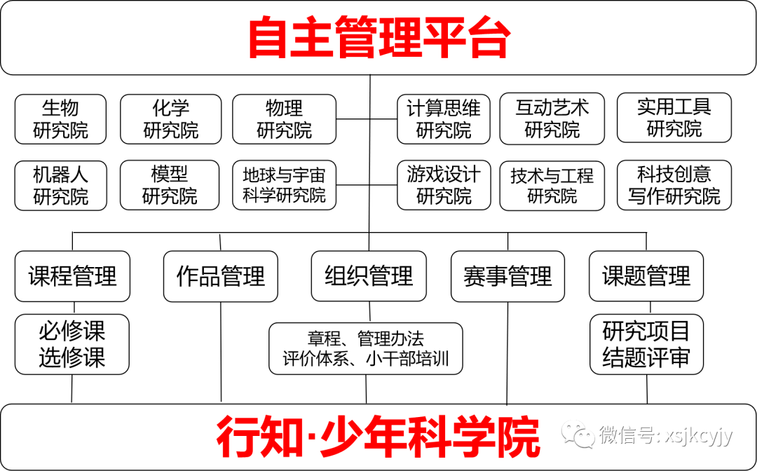 青少年科学素养提升的有效路径探索