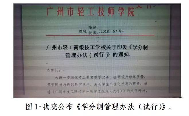 教育改革方案，优化师资配置，提升教育质量