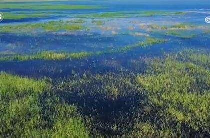 湿地保护成效显著，生态环境治理成果深度解析