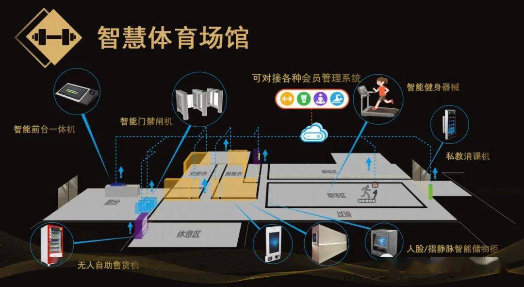 体育馆数字化改造，提升用户体验与互动性能