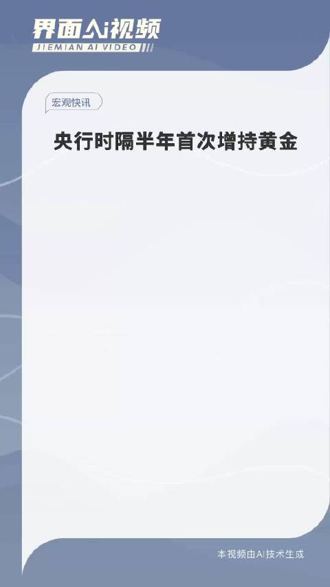 央行时隔半年首次增持黄金，背后的深意与影响分析