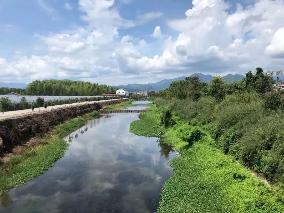 多地水环境治理优化，河流生态显著改善