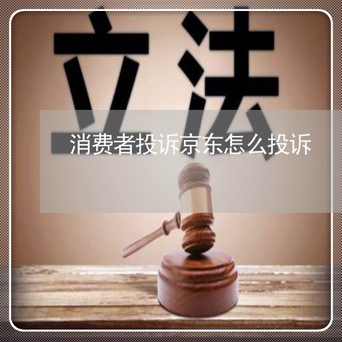 京东公司面临消费者群体起诉事件深度解析