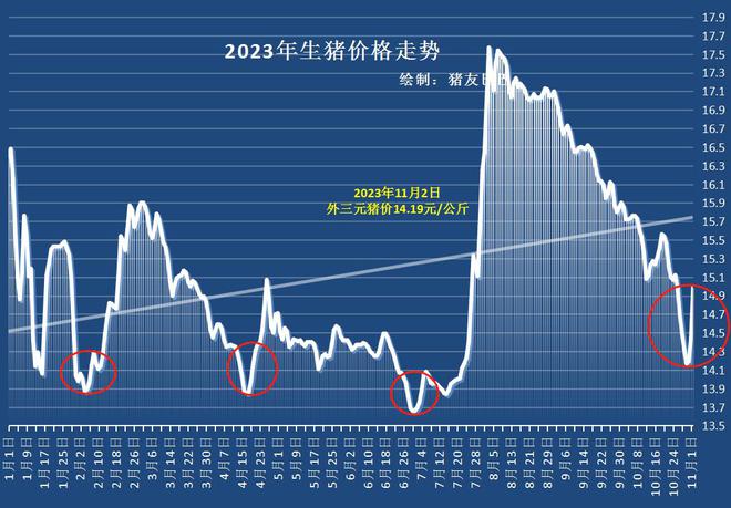 猪肉价格上涨背后的故事，探究涨价原因及其影响