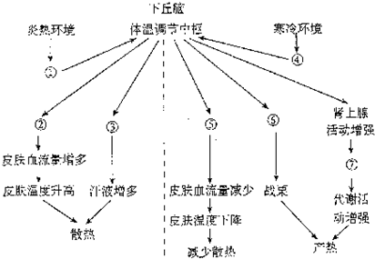 中医身体体温平衡调整法，探索中医如何调节体温保持平衡之道