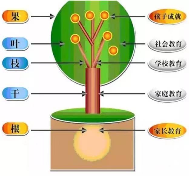 2024年12月10日 第13页