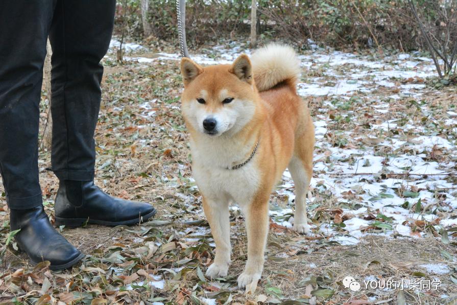 家庭教育对孩子社会适应能力的深远影响