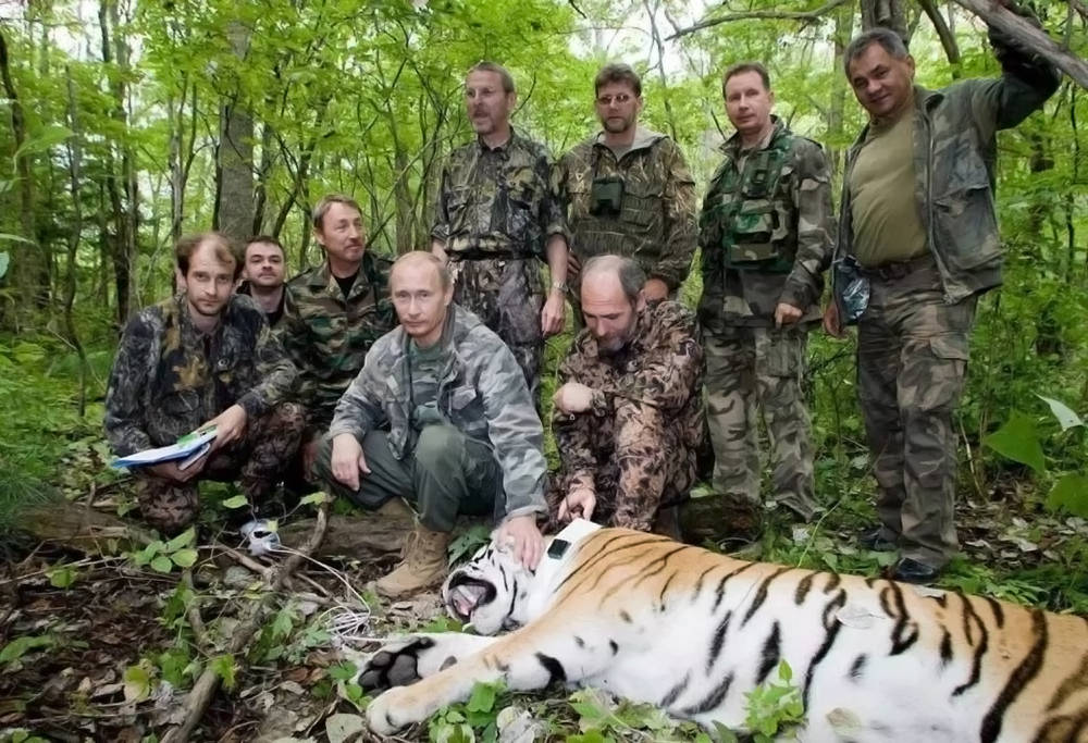 乌男子逃兵役躲猫取暖奇迹存活，勇气与生命力的故事