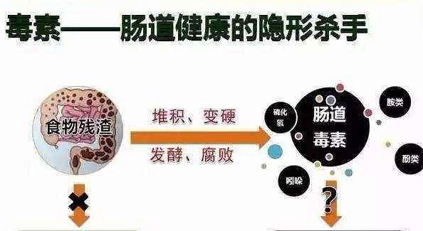 2024年12月19日 第15页