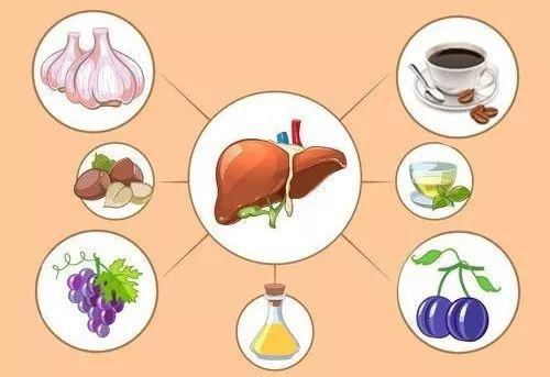 食疗助肝脏提升解毒能力