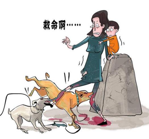 饲养员应对恶犬咬人事件负起责任，积极采取行动制止事件恶化