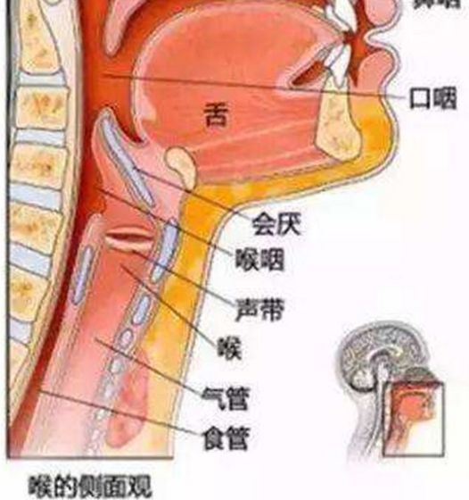 喉咙肿痛引发呼吸困难的紧急救援指南