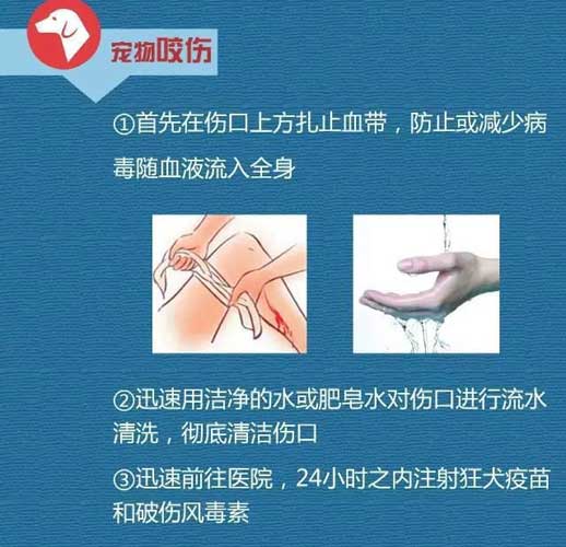 家庭应急伤口处理指南，为家人提供及时的急救措施