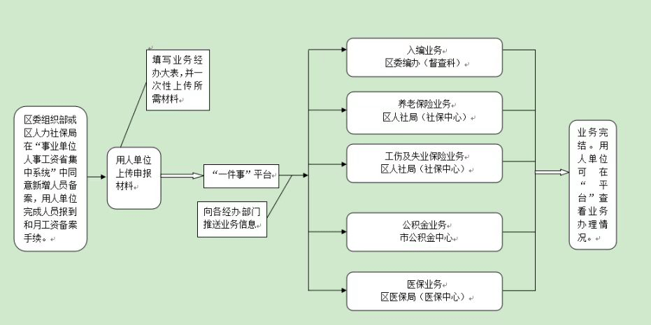 事业编入职全流程详解，从报名到入职的详细步骤指南