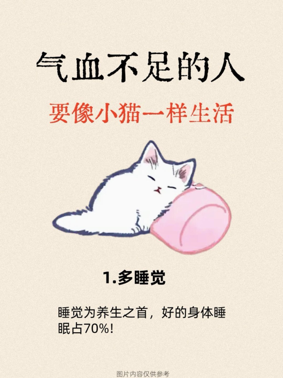 小猫的智慧，气血不足者的生活启示与感悟