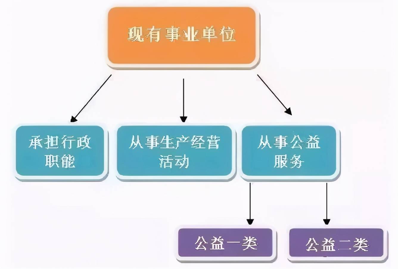 事业编制财务岗位，职责、挑战及职业发展路径概览