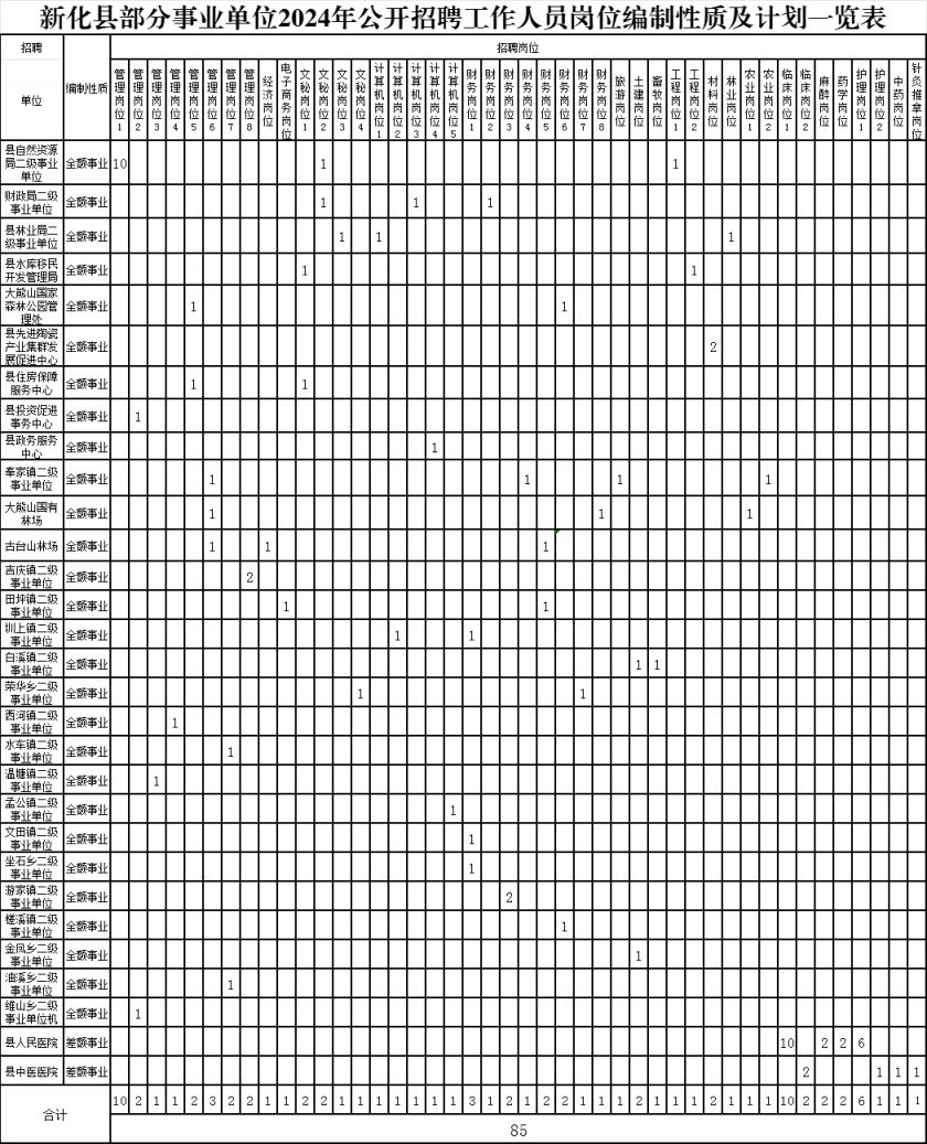 事业编招聘公告2024——新征程启航，梦想之舟共建