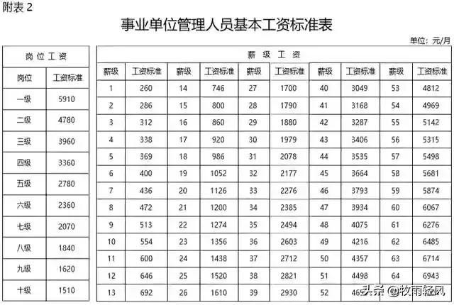 事业单位管理岗职能与角色深度解析