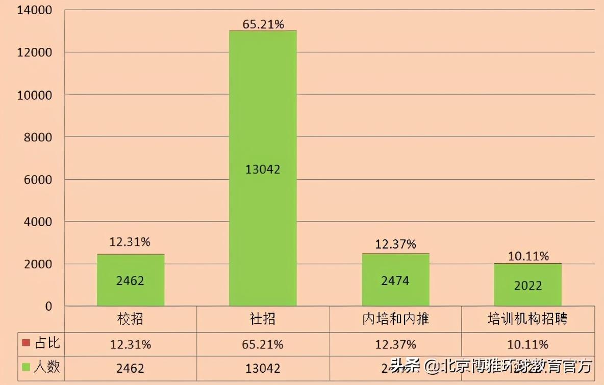 大数据工程师，数字化转型的核心驱动力