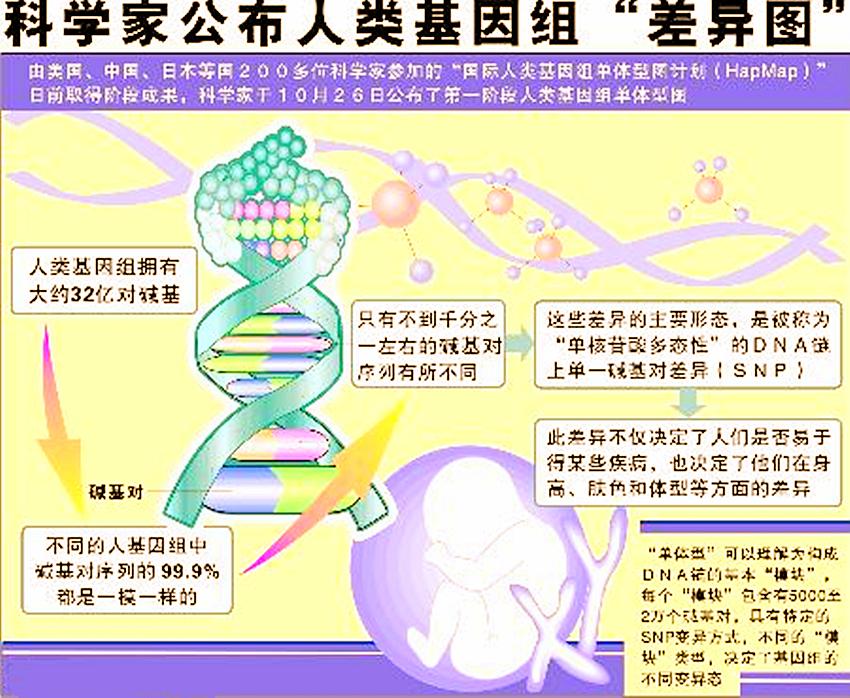 科学家发现短命基因，生命奥秘的新篇章探索启动